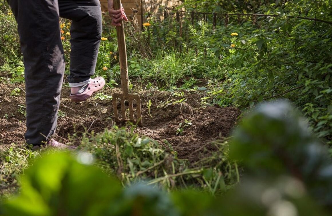 Featured image - 7 Common Mistakes Most of the Gardeners Make