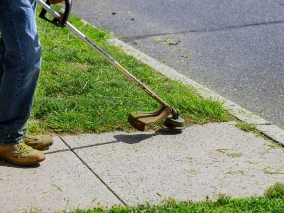 Featured image - How to Edge a Lawn in 6 Easy Steps