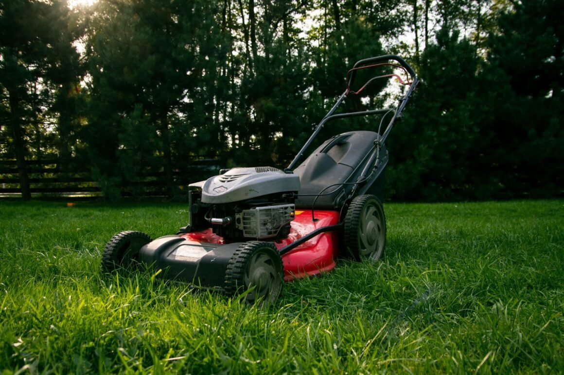 Featured image - 4 Top Vital Factors Worth Considering When Hiring Commercial Lawn Care Provider