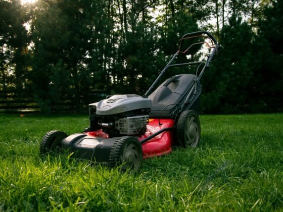 Featured image - 4 Top Vital Factors Worth Considering When Hiring Commercial Lawn Care Provider