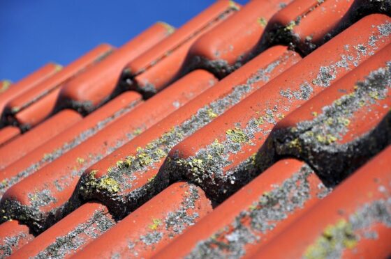 Featured image - The Most Common Roof Problems Plaguing Homeowners