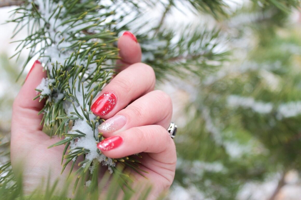 Featured image - Healthy Maintenance: 4 Tips for Taking Care of Your Trees During Winter