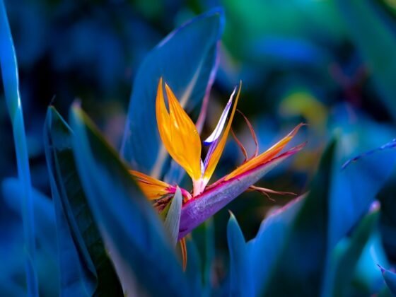 featured image - 11 Genius Hacks for Cost-Effective Wallpaper Use