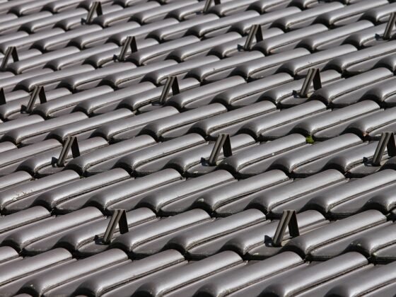 featured image - 5 Essential Roof Maintenance Tips