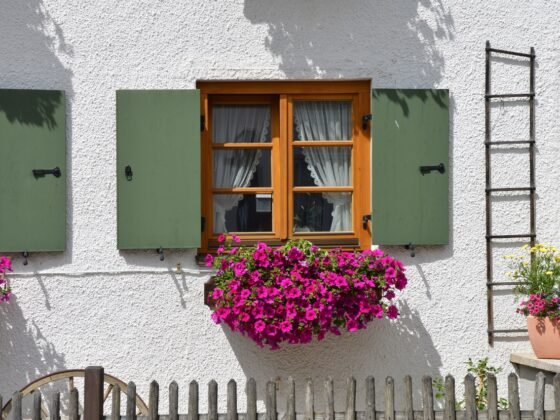 featured image - Home Improvement Caring for Your Home Shutters