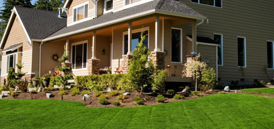 featured image - Landscaping Services The Difference Between the Designer and The Architect
