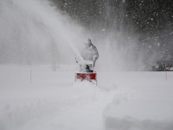featured image - Tips to Choosing A Snow Removal Service