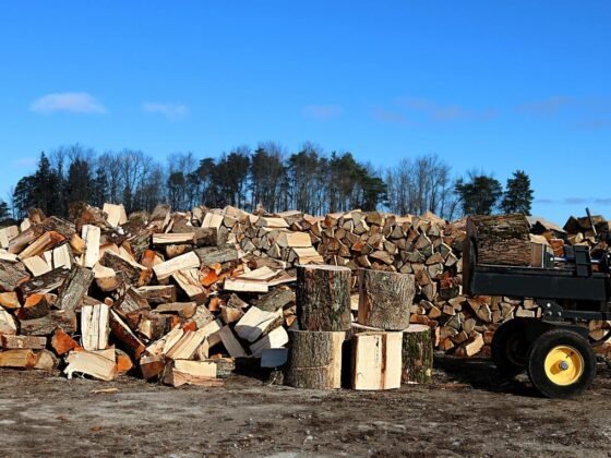 Featured image - Top 5 Tips for Safe Operation of Powered Log Splitters