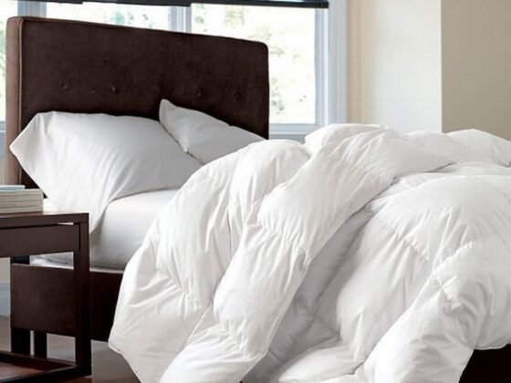 featured image - Top Five Factors to Look for When Buying an Alternative Comforter
