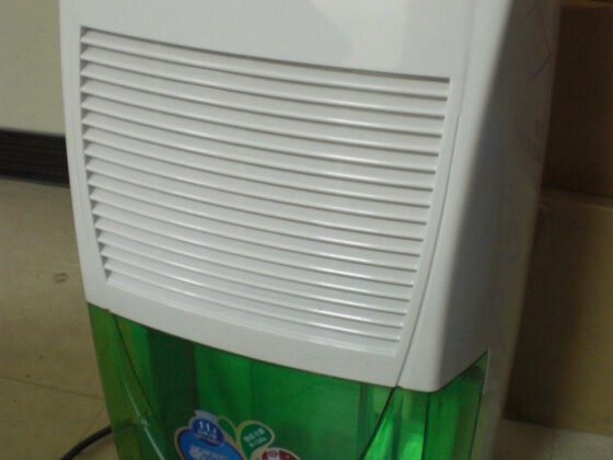 featured image - What Are the Common Benefits of Dehumidifiers