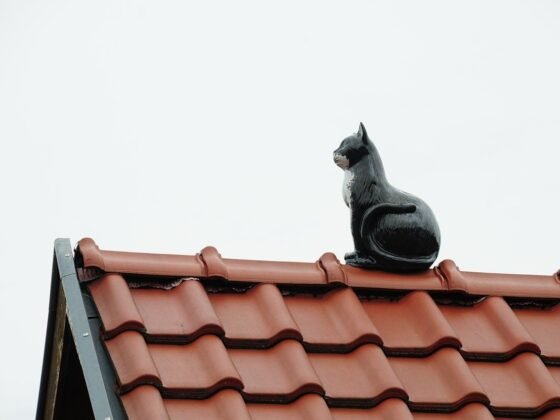 featured image - What Are the Things to Consider While Choosing a Roofing Company