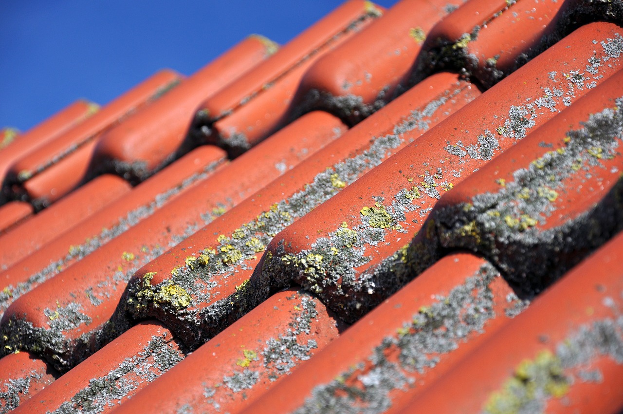 image - 4 Costly Consequences of Not Repairing Your Hail Damaged Roof