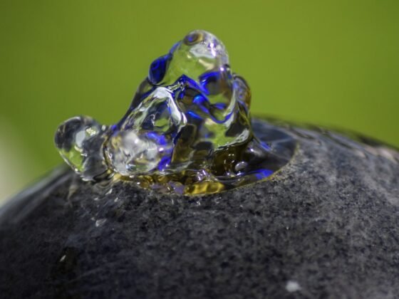 featured image - 4 Surprising Health Benefits of Indoor Fountains