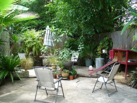featured image - 8 Gorgeous Backyard Concrete Patio Ideas You Need to Try