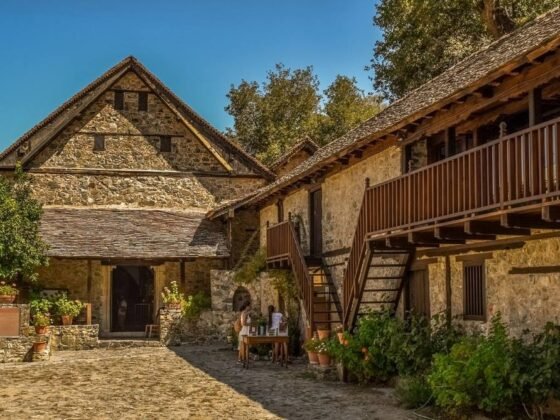 featured image - A Complete Guide on Who to Choose a Landscaping Contactor