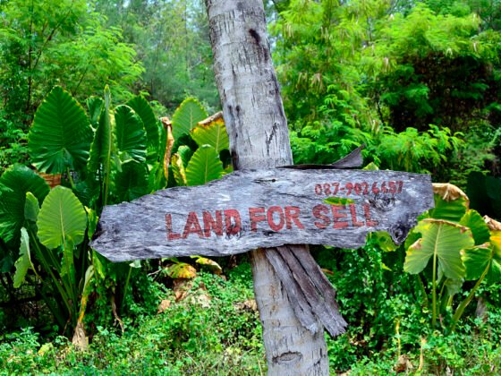 featured image - Effective Tips to Sell your Land