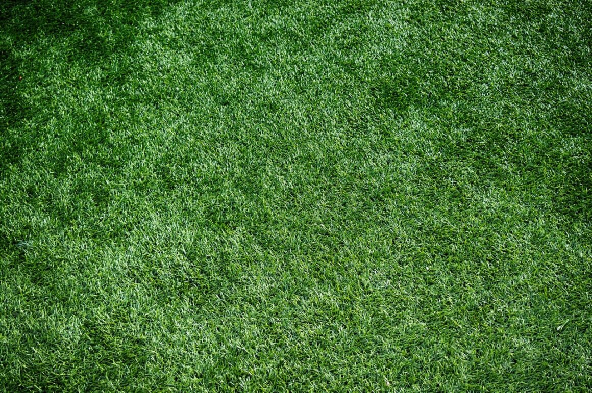 featured image - How Efficient and Beneficial to Install Artificial Grass