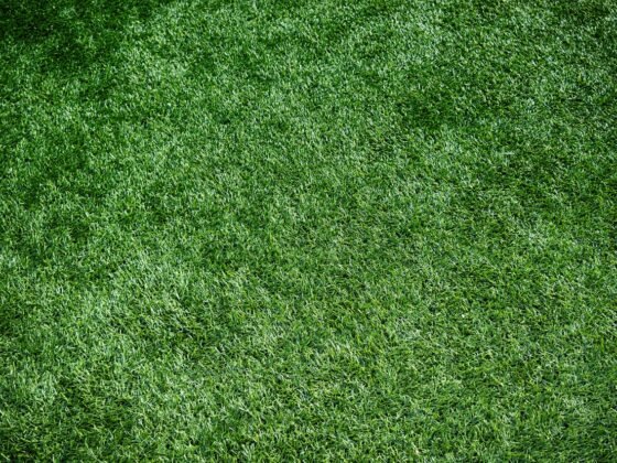 featured image - How Efficient and Beneficial to Install Artificial Grass