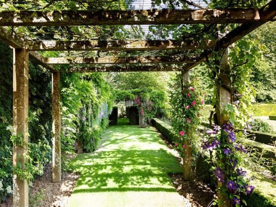 featured image - How to Design the Perfect Garden