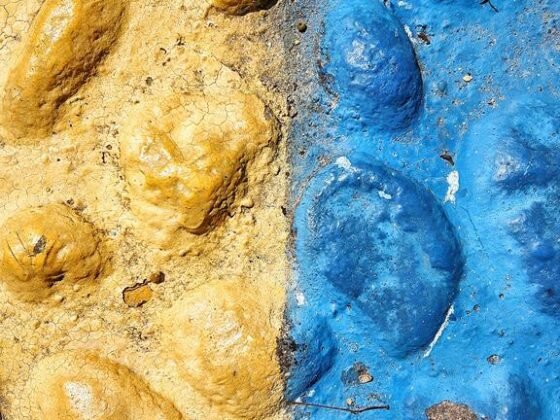 featured image - How to Paint Retaining Wall