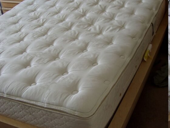 featured image - Read This Before You Buy a PlushBeds Mattress