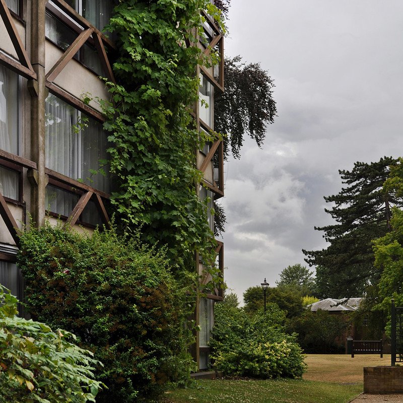 The Latest in Green Building Trends image - The Latest in Green Building Trends