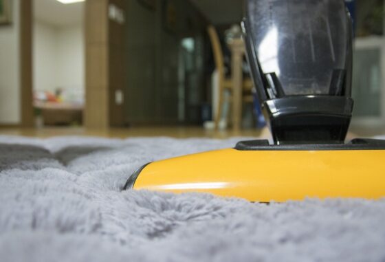 featured image - Top 10 Best Carpet Cleaners in Greenville TX