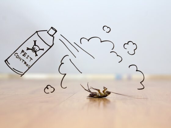 Featured image - What are the 3 Methods of Pest Control