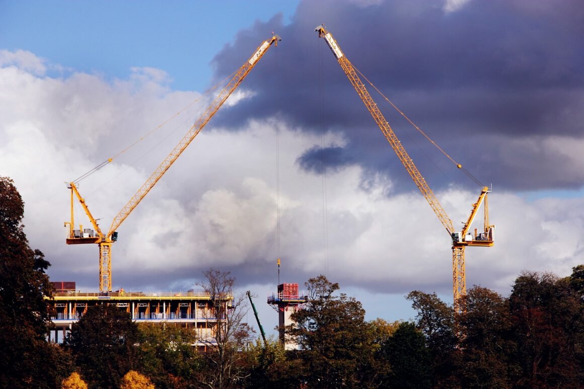 featured image - What are the Different Types of Construction Cranes