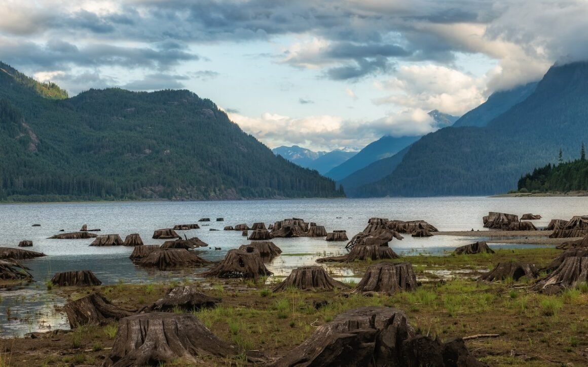 Featured image - When is a Good Time to Contact a Realtor in Vancouver