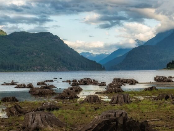 Featured image - When is a Good Time to Contact a Realtor in Vancouver