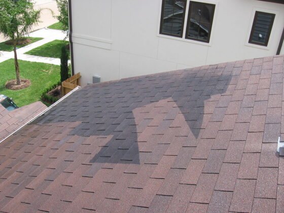 featured image - Why Hire a Professional to Clean your Roof