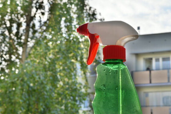 featured image - Why Is Green Cleaning Becoming More Popular