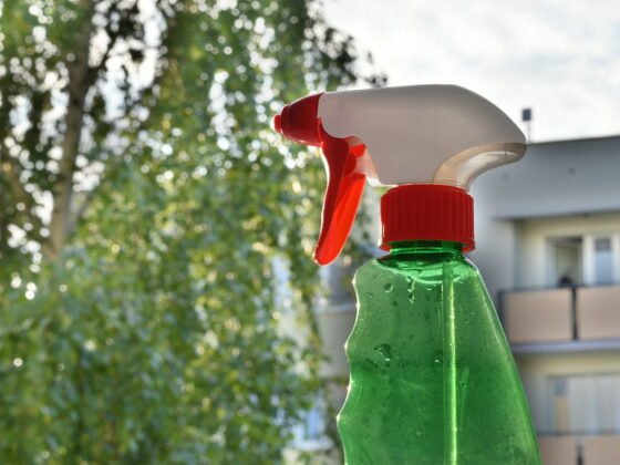 featured image - Why Is Green Cleaning Becoming More Popular