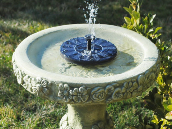 featured image - 8 Reasons Why Starting Peaceful Garden Does Not Require Big Space