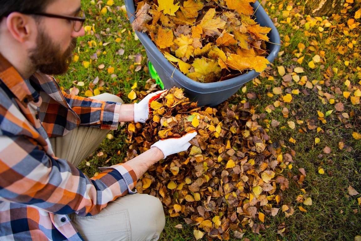 9 Recommended Garden Waste Removal Ideas image - 9 Recommended Garden Waste Removal Ideas