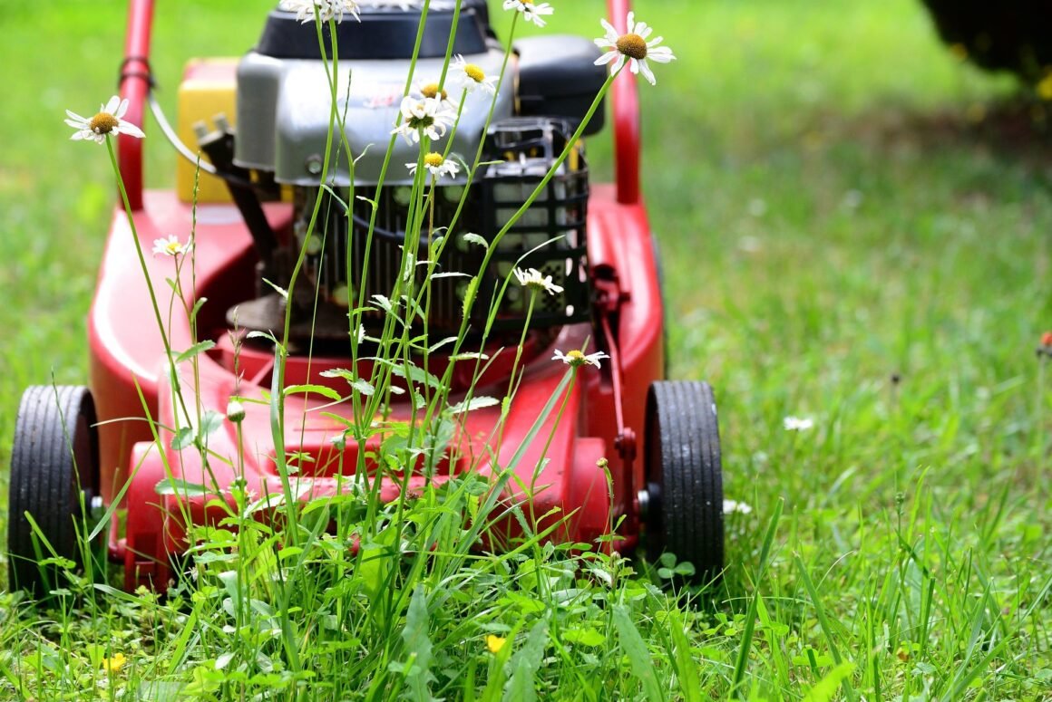 featured image - Electric Lawn Mower: How to Choose One