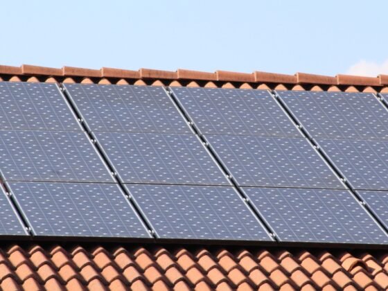 featured image - Fact or Fiction Can Solar Panels Damage Your Roof