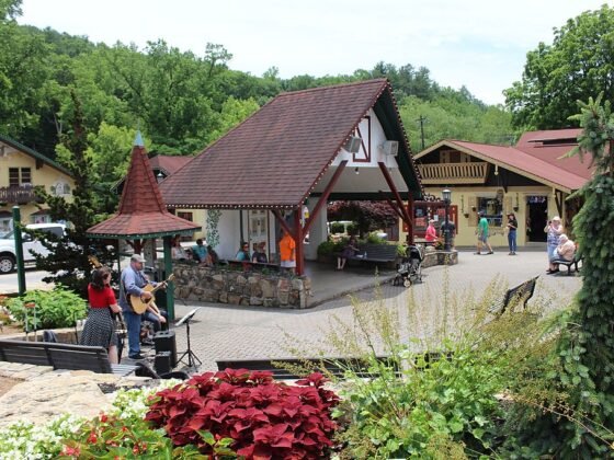 featured image - How to Create A Beautiful Outdoor Space for Entertainment