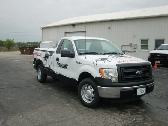 featured image - Leave It to the Pros 7 Good Reasons to Hire a Pest Control Company