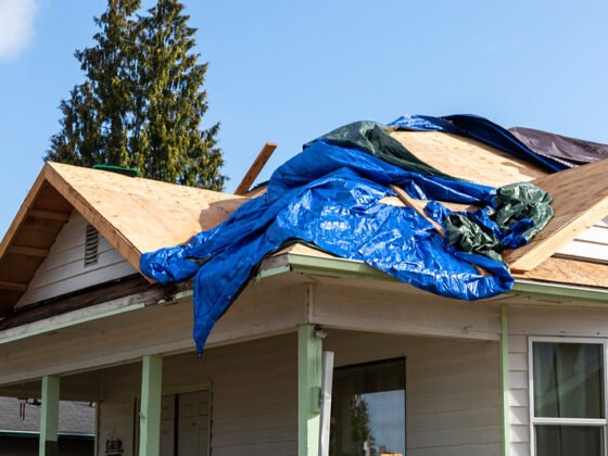 featured image - Roof Repair or Roof Replacement Which One Do I Need