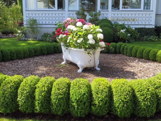 featured image - 3 Curb Appeal Front Yard Landscaping Ideas on a Budget to Consider