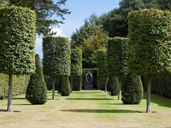 Featured image - 5 Easy Facts About Tree Trimming Services