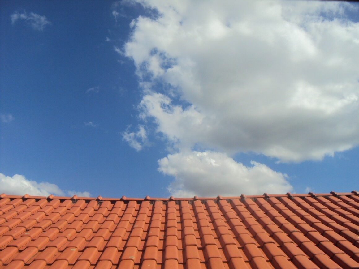 featured image - Factors to Consider When Choosing A Commercial Roofing Company to Work With