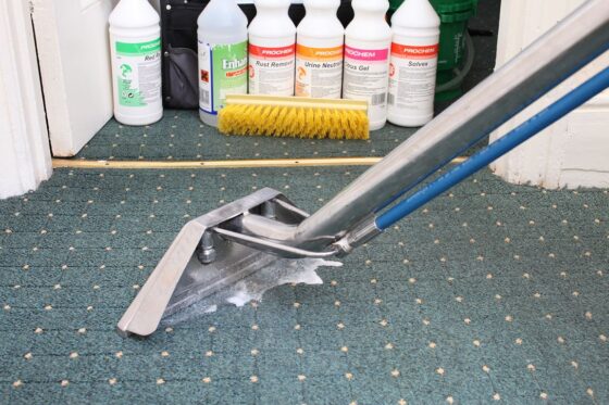 featured image - How to Choose the Best Carpet Cleaning and Restoration in Pasadena, MD