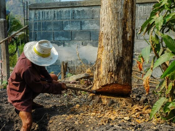 featured image - How to Cut Wood Without A Saw