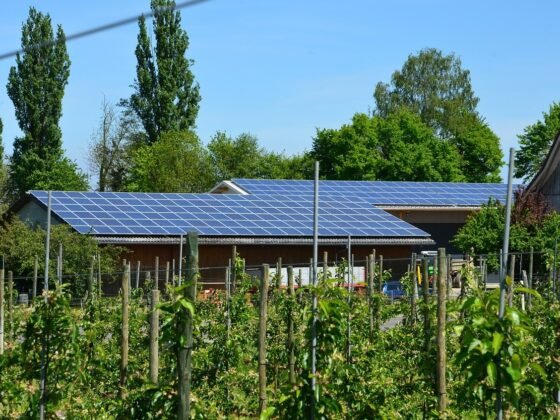 featured image - It's Always Sunny 5 Major Benefits of Home Solar Power