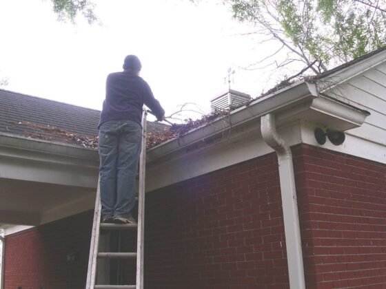 featured image - The Importance of Gutter and Roof Cleaning