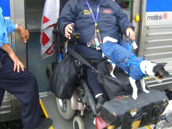 featured image - The Quick Wheelchair Ramp Buying Guide