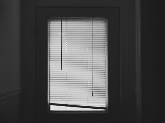 featured image - Window Blinds Offer A Simple Solution to Sound in Apartments